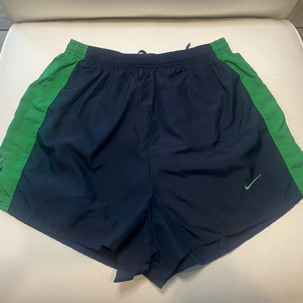 Nike Women’s dry fit shorts size Large